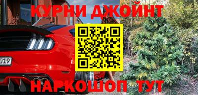 шишки Коммунар