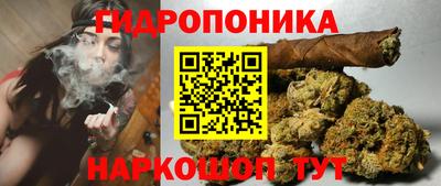 шишки Коммунар