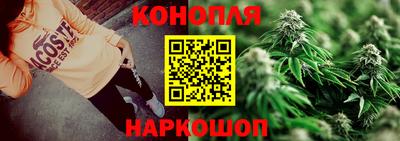 шишки Коммунар
