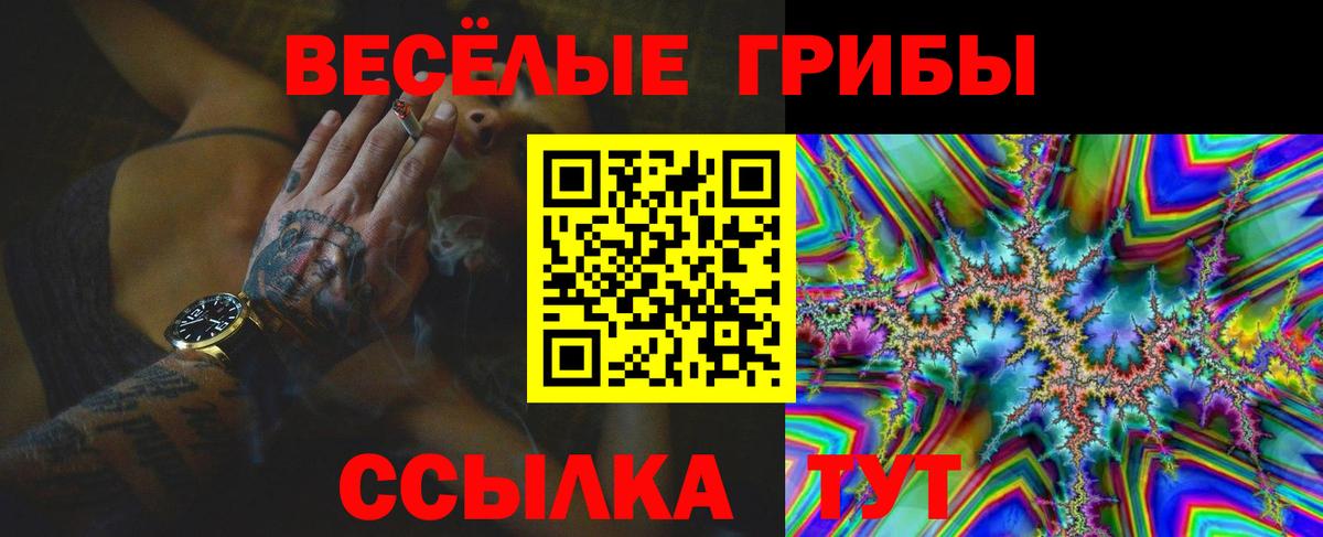 Псилоцибиновые грибы прущие грибы  Галлюциногенные грибы мицелий  Котовск  Вход с VPN 