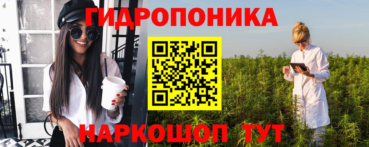 Каннабис Ganja  МАРИХУАНА планчик  Вход с VPN  Бошки Шишки SATIVA & INDICA  Котовск  Бошки марихуана OG Kush 